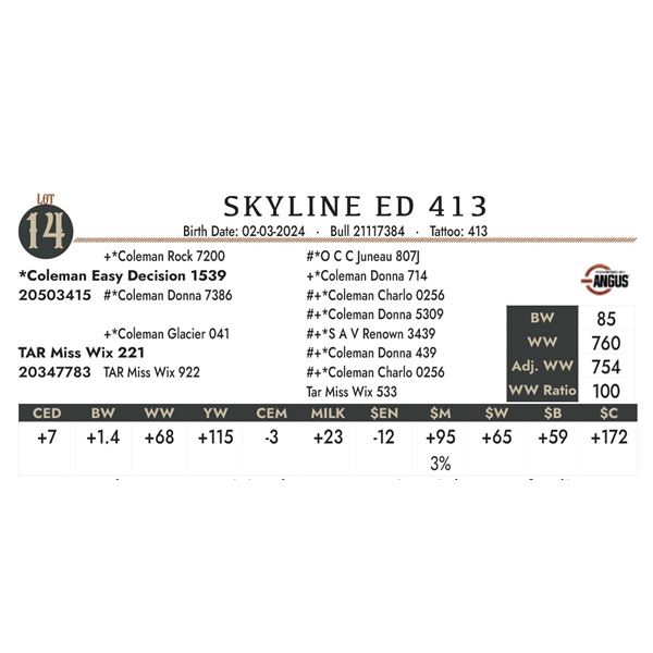 Skyline ED 413