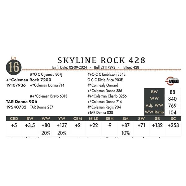 Skyline Rock 428