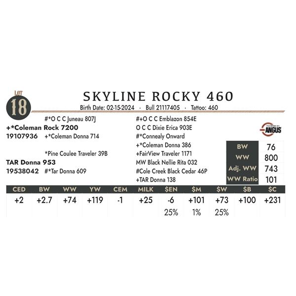 Skyline Rocky 460