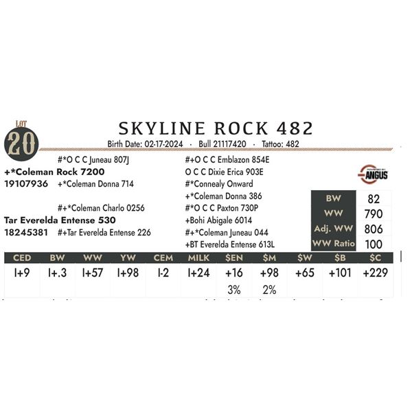 Skyline Rock 482
