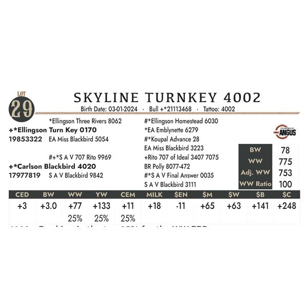 Skyline Turnkey 4002