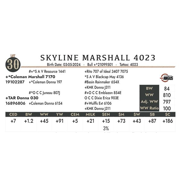 Skyline Marshall 4023