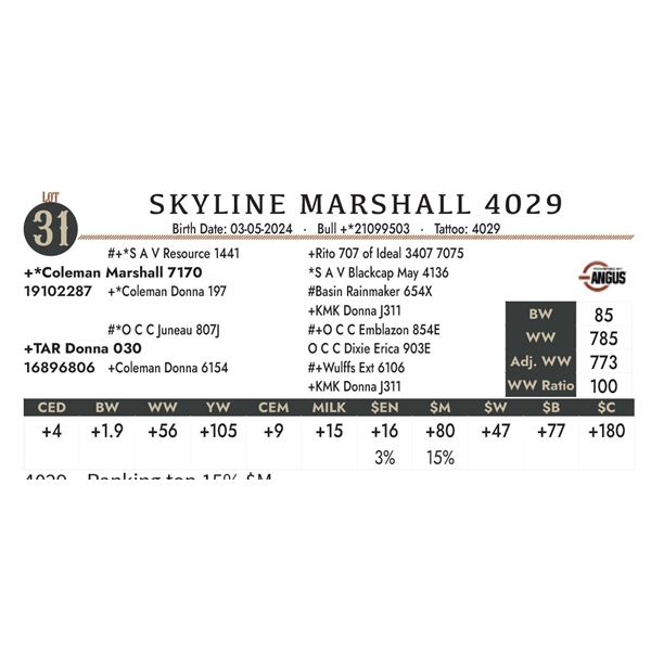 Skyline Marshall 4029