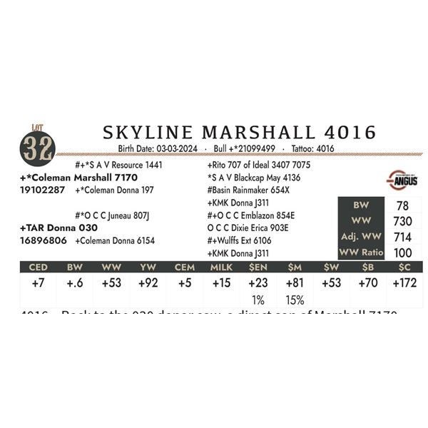 Skyline Marshall 4016