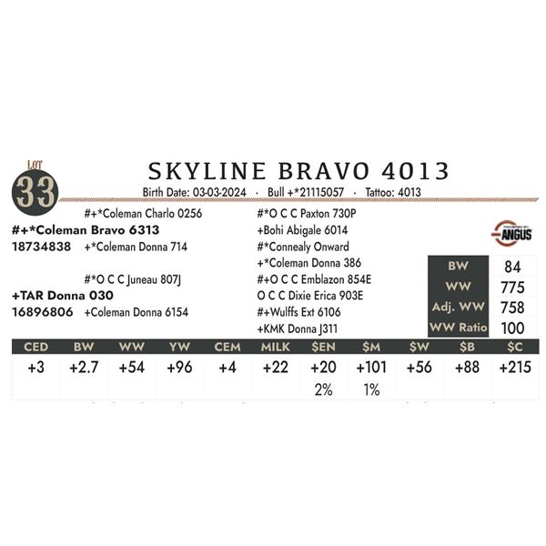 Skyline Bravo 4013