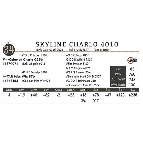 Skyline Charlo 4010