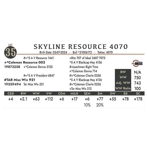 Skyline Resource 4070