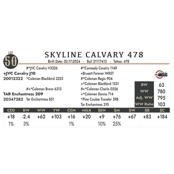 Skyline Calvary 478