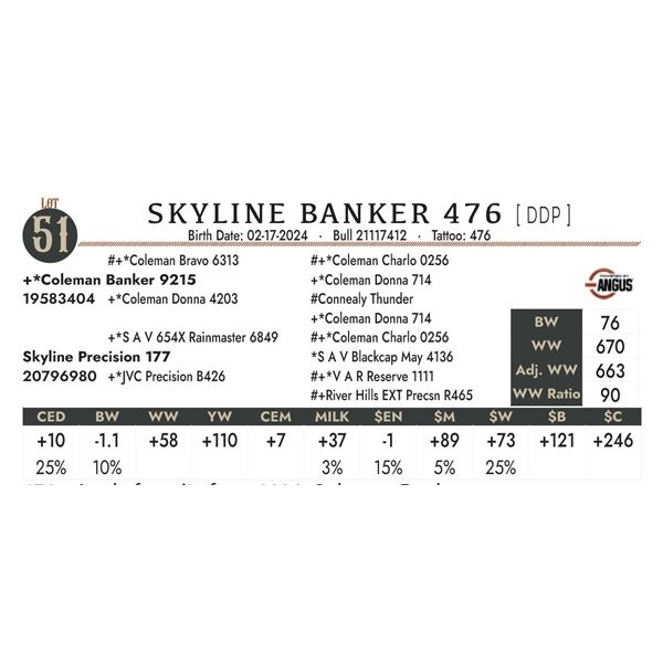 Skyline Banker 476