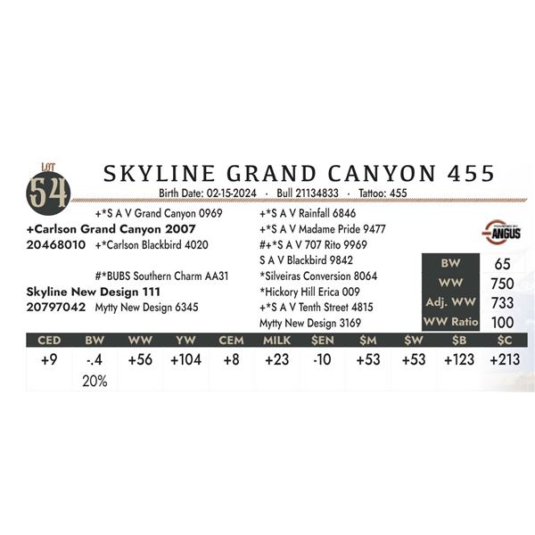 Skyline Grand Canyon 455