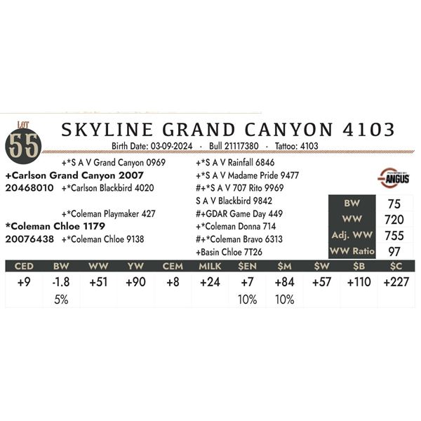 Skyline Grand Canyon 4103