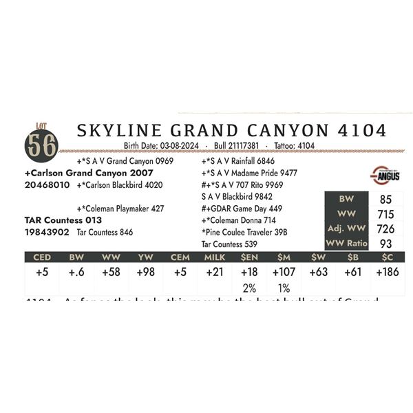 Skyline Grand Canyon 4104