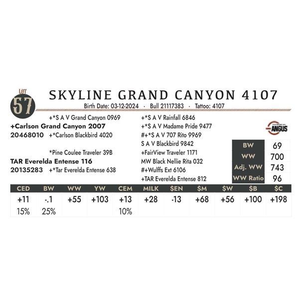 Skyline Grand Canyon 4107