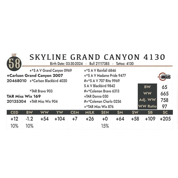 Skyline Grand Canyon 4130