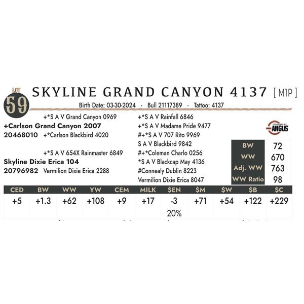 Skyline Grand Canyon 4137