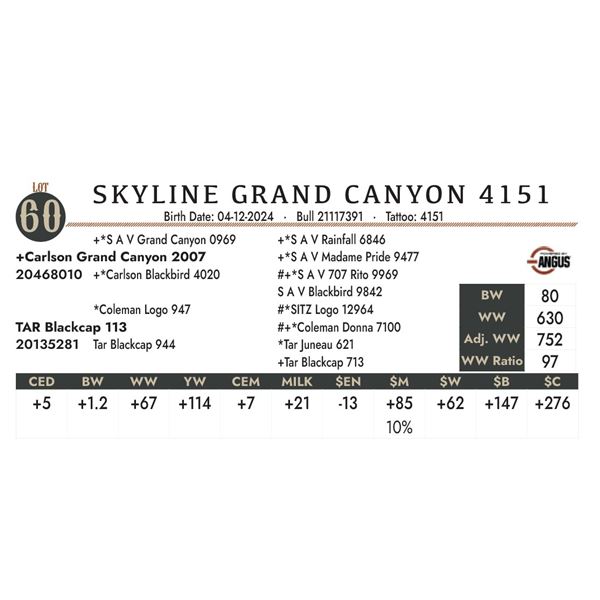Skyline Grand Canyon 4151