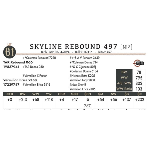 Skyline Rebound 497