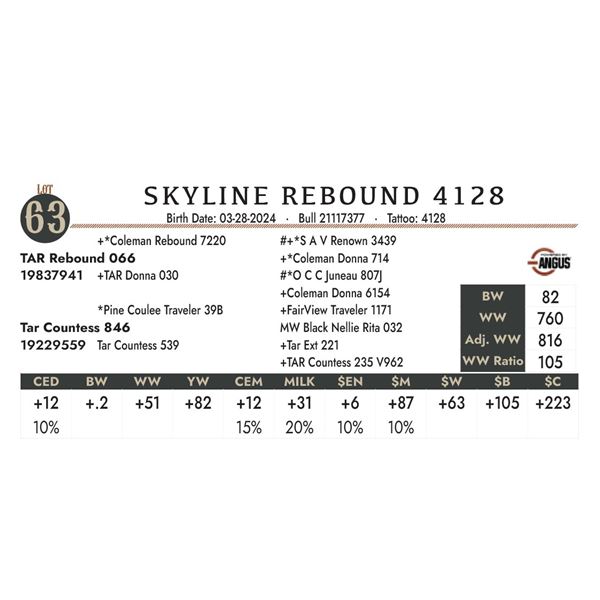 Skyline Rebound 4128