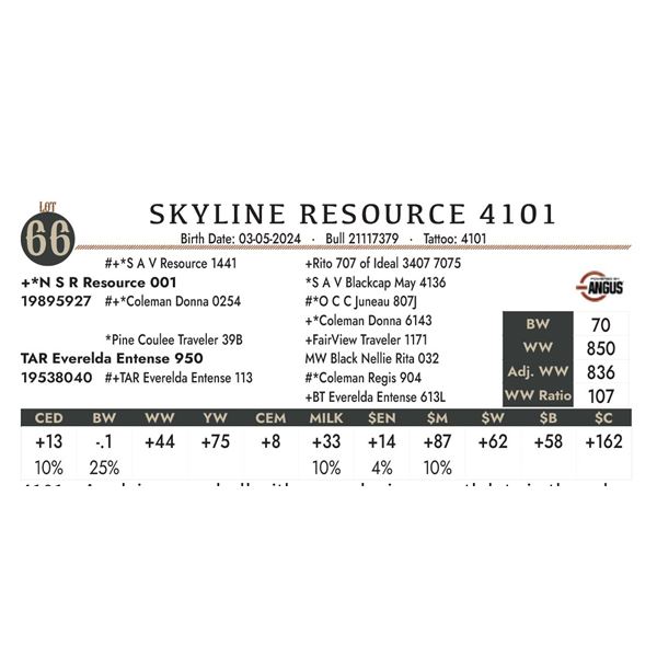 Skyline Resource 4101