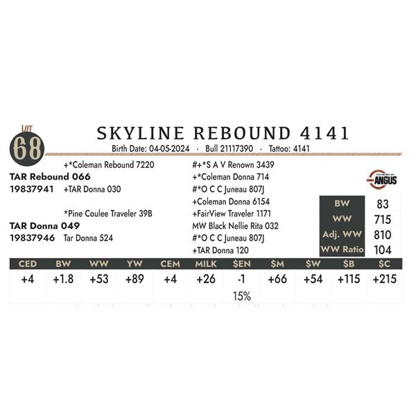 Skyline Rebound 4141