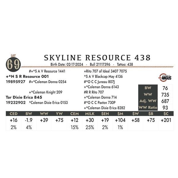 Skyline Resource 438