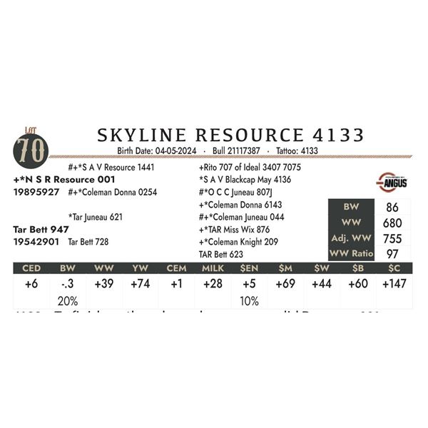 Skyline Resource 4133