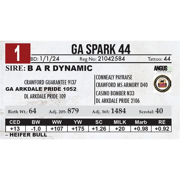 GA Spark 44