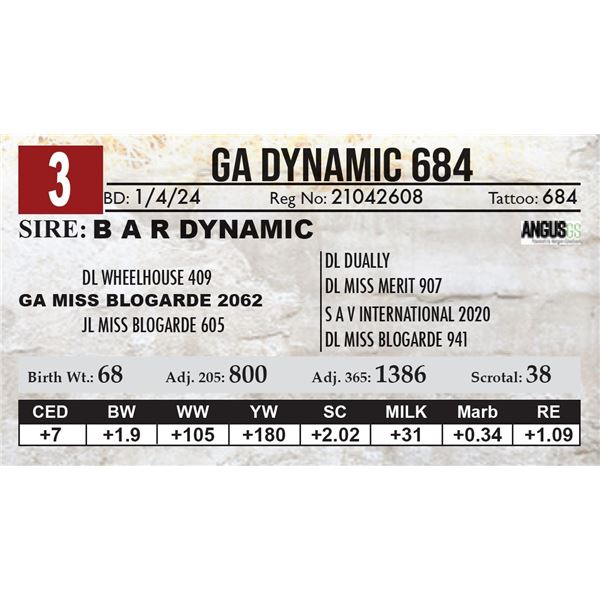 GA Dynamic 684