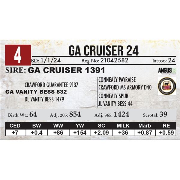 GA Cruiser 24