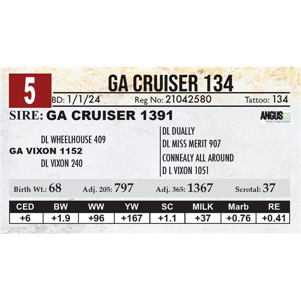 GA Cruiser 134