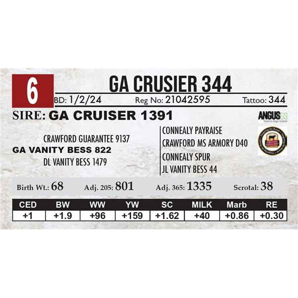 GA Crusier 344