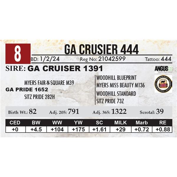 GA Crusier 444