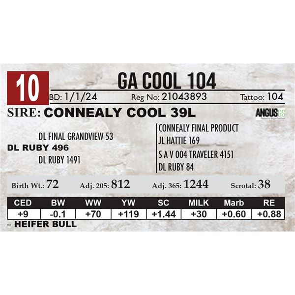 GA Cool 104