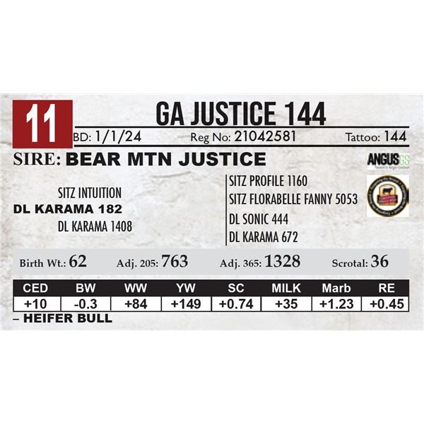 GA Justice 144