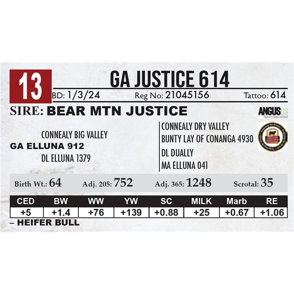 GA Justice 614