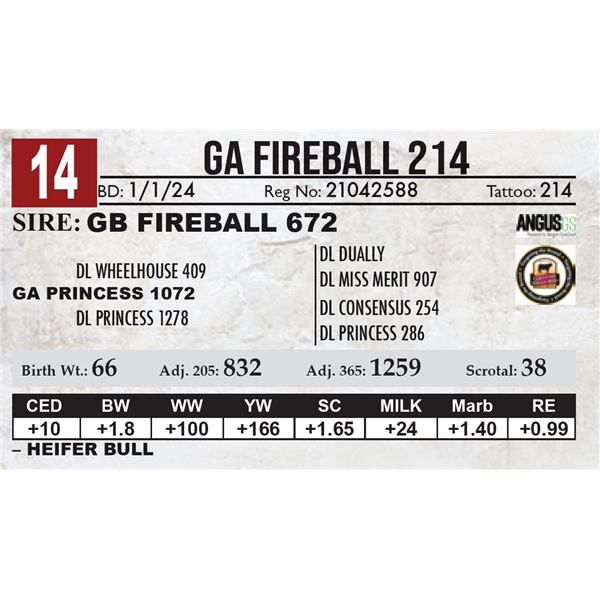 GA Fireball 214
