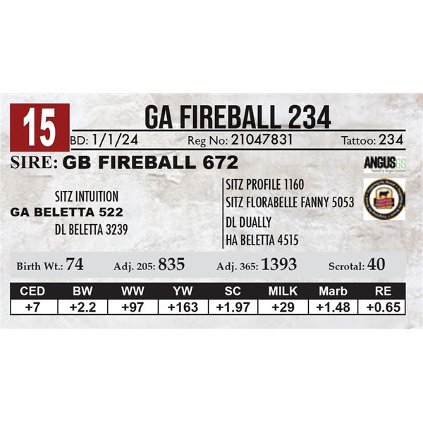 GA Fireball 234