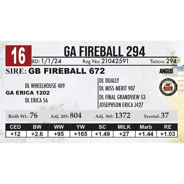 GA Fireball 294