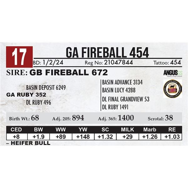 GA Fireball 454