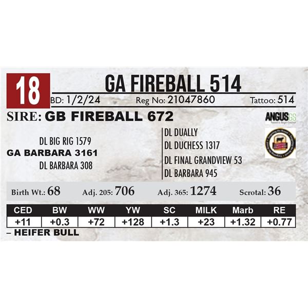 GA Fireball 514