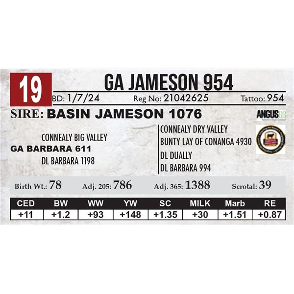 GA Jameson 954