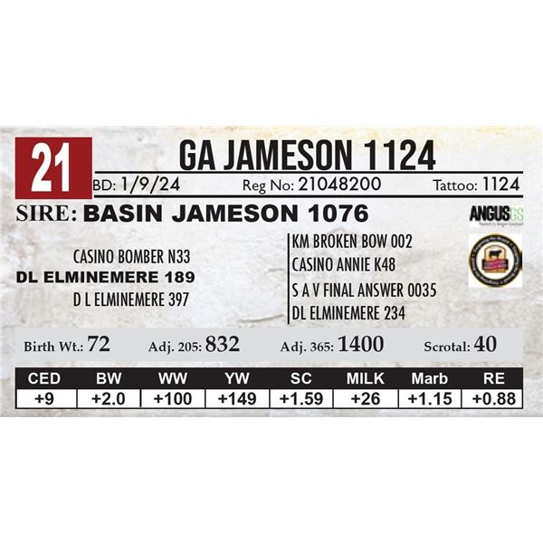 GA Jameson 1124