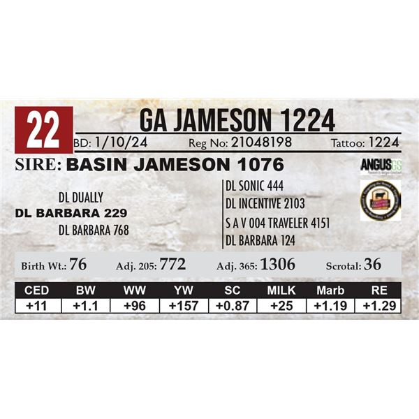GA Jameson 1224