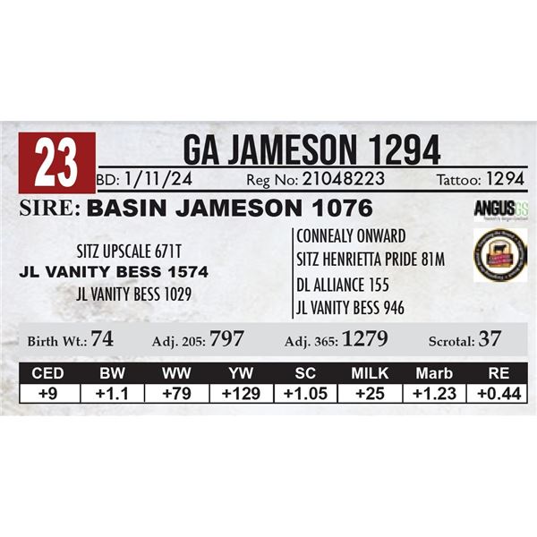 GA Jameson 1294