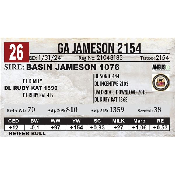 GA Jameson 2154