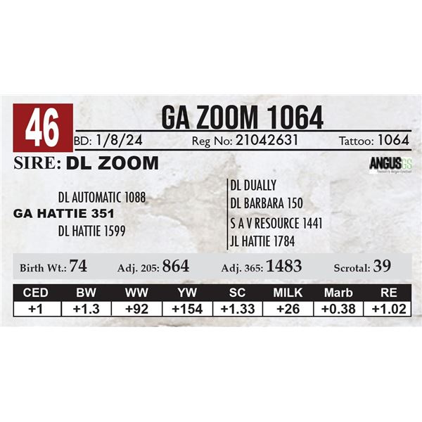 GA Zoom 1064