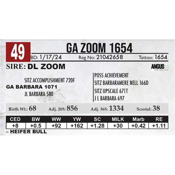 GA Zoom 1654