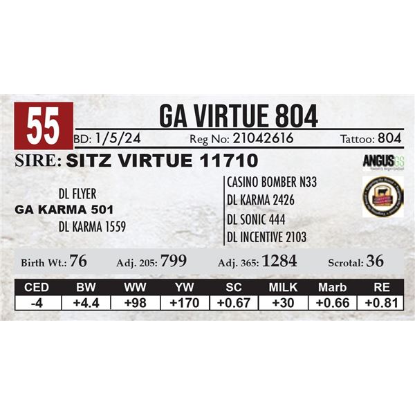 GA Virtue 804