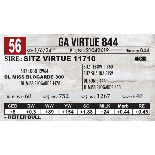 GA Virtue 844
