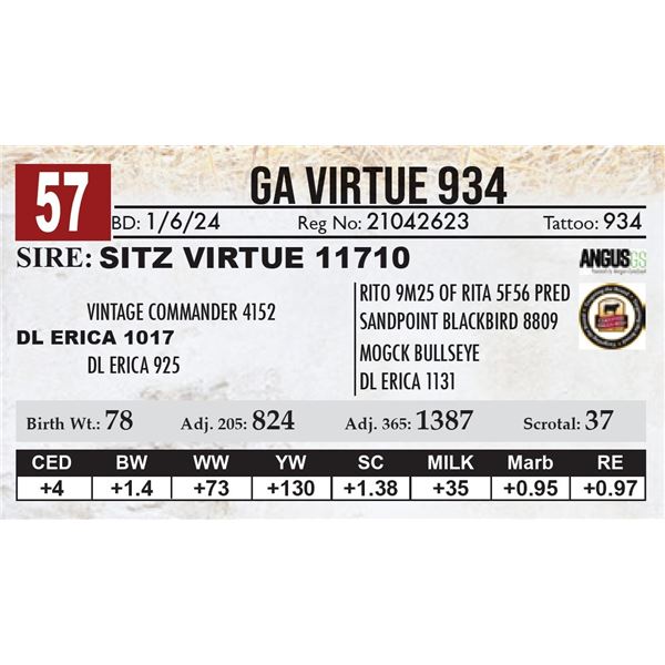 GA Virtue 934